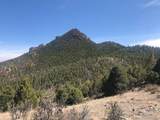  Tbd Cathedral Trail - Photo 11
