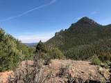  Tbd Cathedral Trail - Photo 14