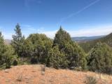  Tbd Cathedral Trail - Photo 10