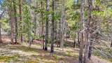 126 Gold Trail Cutoff - Photo 12