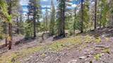 126 Gold Trail Cutoff - Photo 10
