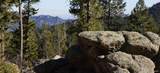 93 Gross Dam Road - Photo 10