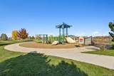 10134 Carefree Street - Photo 38