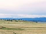 00 Downey Road - Photo 10