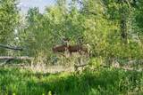 16990 Old Pueblo Road - Photo 45
