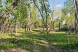 16990 Old Pueblo Road - Photo 47