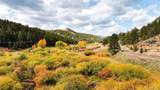  Upper Bear Creek Road - Photo 4