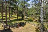 31354 Morning Star Drive - Photo 33