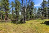 31354 Morning Star Drive - Photo 34