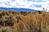 0 Wild Horse Drive - Photo 9