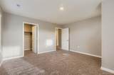 13978 Wild Lupine Street - Photo 17