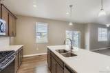 13978 Wild Lupine Street - Photo 8