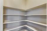 13978 Wild Lupine Street - Photo 9