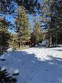 29885 County Road 46Aa - Photo 5