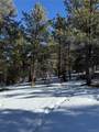 29885 County Road 46Aa - Photo 6