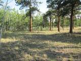 9798 Ranch Road - Photo 4