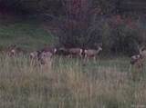  Cherry Creek Road - Photo 18