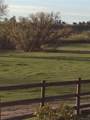  Cherry Creek Road - Photo 20