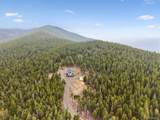 257 Sunny Skies Trail - Photo 36