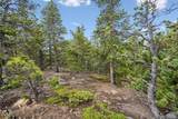 257 Sunny Skies Trail - Photo 39