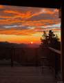257 Sunny Skies Trail - Photo 44
