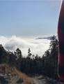 257 Sunny Skies Trail - Photo 46