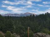 15 Dogie Trail - Photo 36