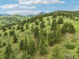 26558 Rocasa Trail - Photo 33