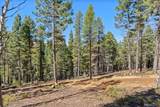 30854 Forest Shadow Trail - Photo 4