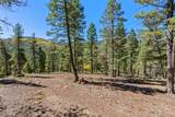 30854 Forest Shadow Trail - Photo 8