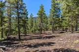 30854 Forest Shadow Trail - Photo 9