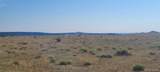 Lot 5 East Peak Ranches - Photo 10
