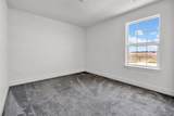 3309 Bluestem Street - Photo 43