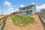 3309 Bluestem Street - Photo 46