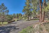 1559 Apex Road - Photo 5