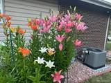 3225 Garrison Street - Photo 28