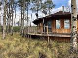 2424 Petito Drive - Photo 5