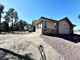 3145 Promise Point - Photo 27