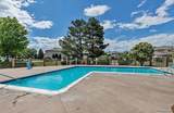 3355 Flower Street - Photo 19