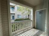 1146 Opal Street - Photo 20