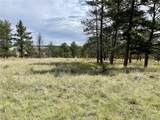 32041 Cattle Circle - Photo 4