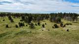 32041 Cattle Circle - Photo 9