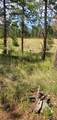 27793 Fawn Drive - Photo 1