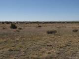 1474 Fawn Trail - Photo 9