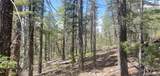 Lot 6764 Kerrigan Road - Photo 4
