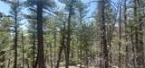 Lot 6764 Kerrigan Road - Photo 8