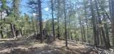 Lot 6764 Kerrigan Road - Photo 9