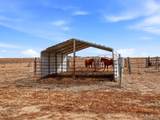 3374 County Road P - Photo 39