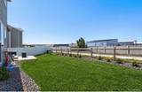12237 Skywalk Street - Photo 35