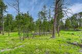 000 Wyandott Drive - Photo 4